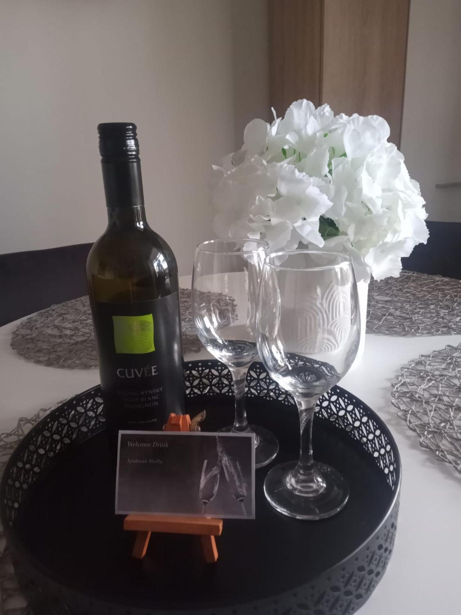 Apartman Shelly Vlachy Экстерьер фото